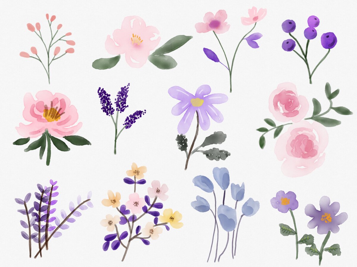 Flowers