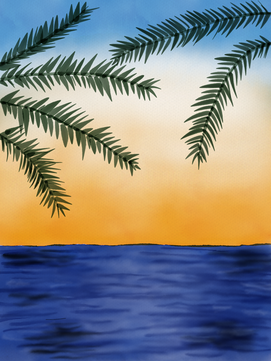 beach tree