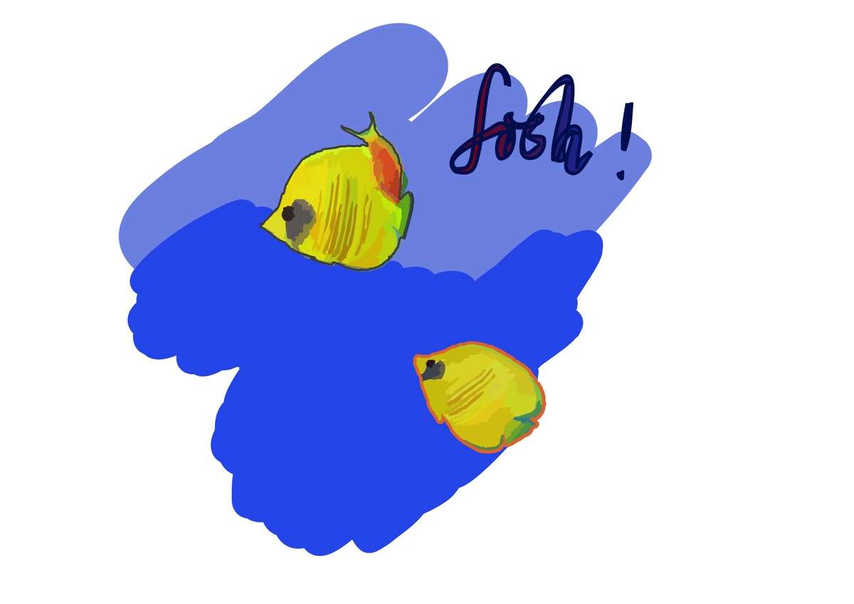 clown fish