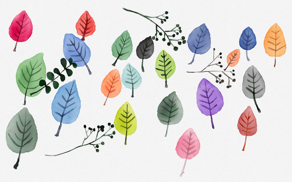 Leaf