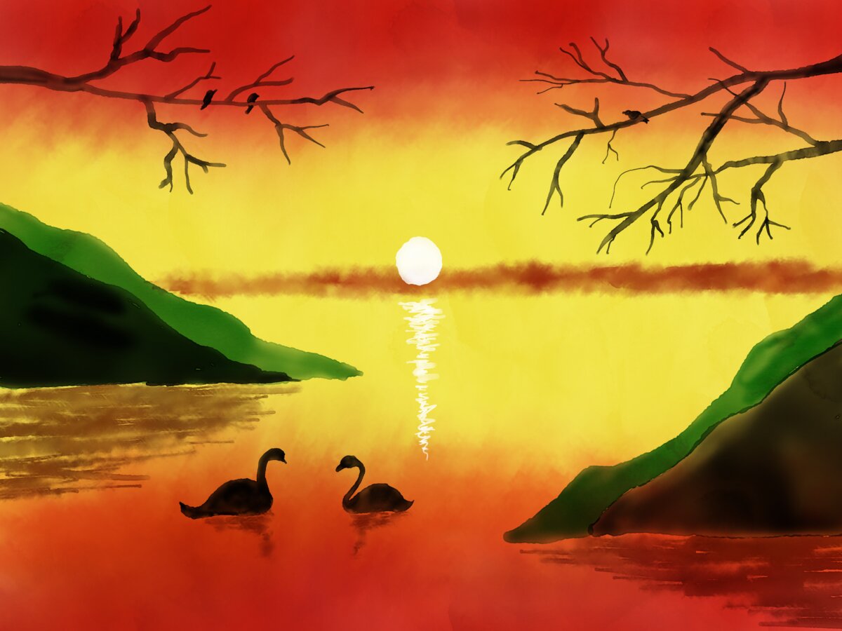 swan